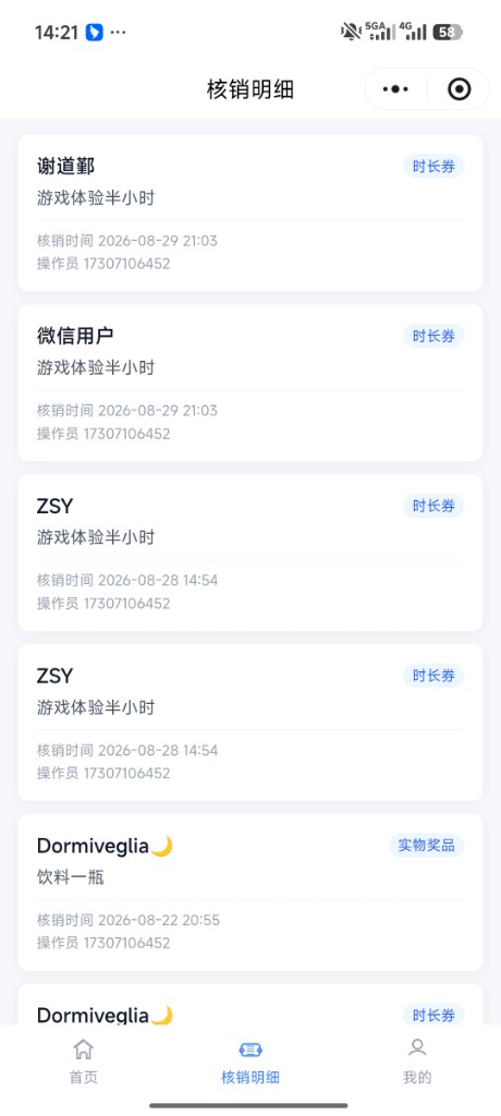 核销明细